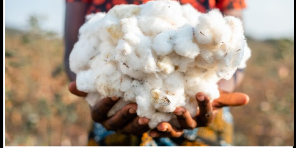 #technicaltextile #textile #news #dailynews