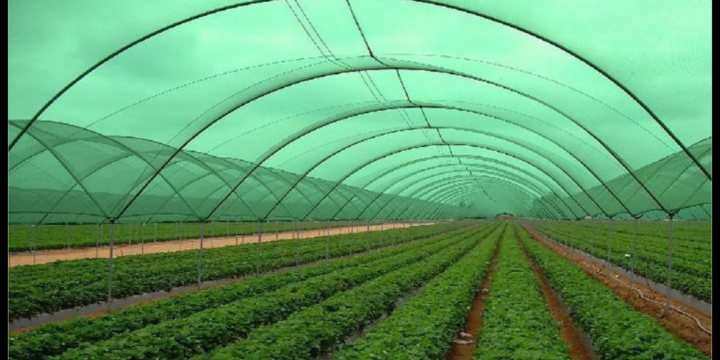 #technicaltextile #technicaltextilenews #technicaltextileIndia #textilenews #dailynews #news #dailynewsupdate #agrotextiles