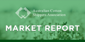 #TechnicalTextileMarket #TextileIndustryReport #MarketResearch #IndustryAnalysis #technicaltextilenews #dailynews #news #dailynewsupdate #MarketAnalysis #marketreport #report #dailyreport #TextileIndustryInsights #TextileMarketResearch