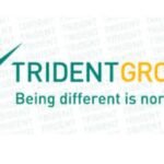 Trident Group : Q1- FY 25 Result