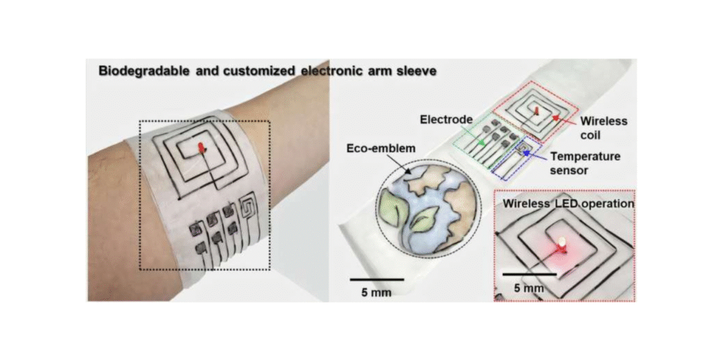 Disappearing electronics: Biodegradable fiber electronics offer solution to e-waste and textile pollution