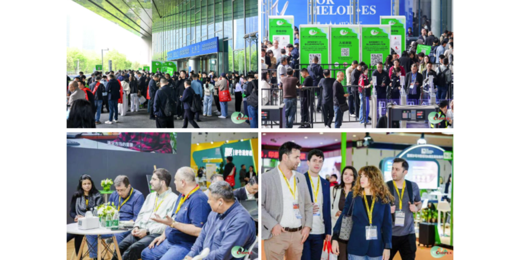 CIDPEX 2026 Highlights: Global Tissue & Hygiene Industry Showcase