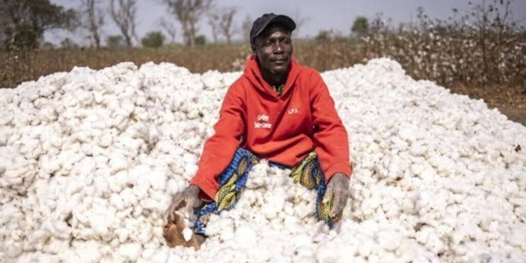 Nigeria Textile Revival Hinges on Nanotechnology Innovation