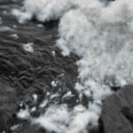 ALLIED Feather + Down Adds Audited Carbon Data to TrackMyDown