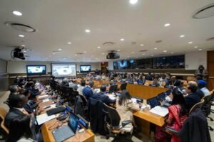 India and Mali Mark World Cotton Day at UN Headquarters in New York