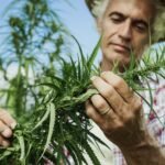 Raymond Lifestyle Launches Hemp Shirting Fabrics in India